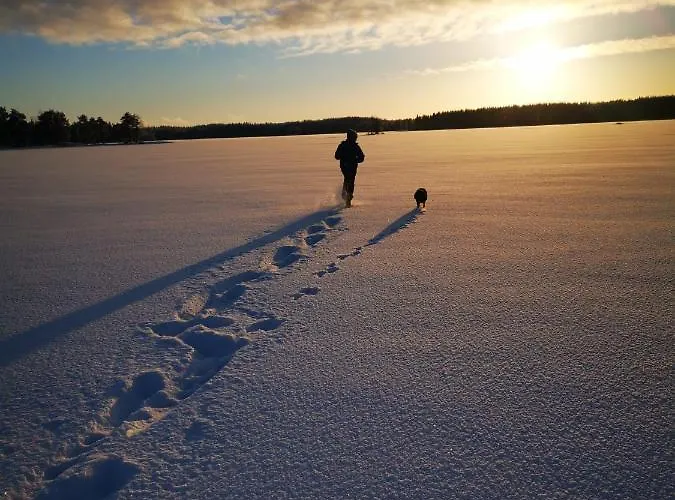 Patalaiska With Private Βίλα Ruokolahti